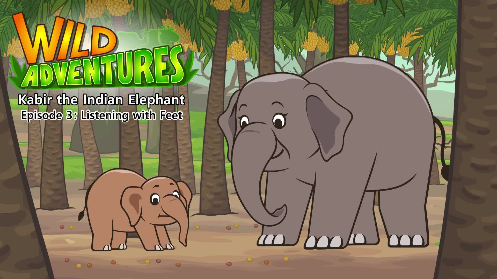 Kabir the Indian Elephant 3: Listening with Feet